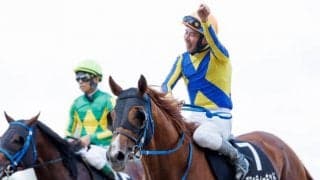 【エルムS想定】8連勝中ブラッティーキッド、連覇狙うスワーヴアラミス、OP連勝の9歳馬バティスティーニなど
