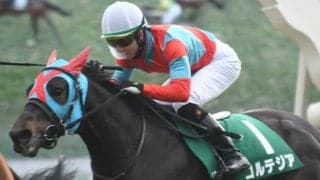 2020年きさらぎ賞覇者コルテジアに右中間手根骨々折が判明　2年間の長期休養から今年6月に復帰も