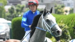 【次走】新馬戦快勝のヤクシマは小倉2歳Sまたはフェニックス賞を予定　Havana Grey産駒として国内初出走初勝利