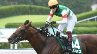 【アイビスSD予想】AIは伏兵を積極的に狙っていく方針