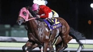 【大井・マイルグランプリ結果】ゴールドホイヤーが重賞4勝目を挙げる