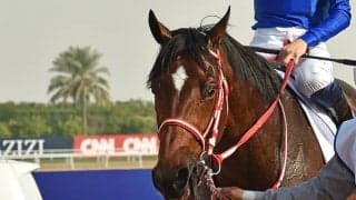 【英・サセックスS結果】断然人気のバーイードが優勝、日本のバスラットレオンは4着