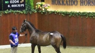 【セレクションセール2022・第2日目】7260万円で落札されたブリックスアンドモルタル産駒「レーヌミノル2021」が最高価格