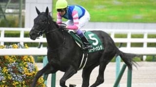 【クイーンS出走馬・騎手確定】ウォーターナビレラ＆武豊騎手、テルツェット＆池添謙一騎手など14頭