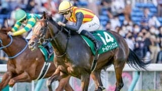 【アイビスSD出走馬・騎手確定】マリアズハート＆菊沢一樹騎手、オールアットワンス＆石川裕紀人騎手など18頭