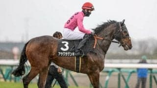 【新潟ジャンプS出走馬・騎手確定】アサクサゲンキ＆石神深一騎手、ゼノヴァース＆森一馬騎手など14頭