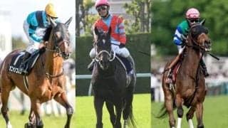 ステゴにオニャンコポン、メイケイエール…京都競馬場主催“ぬいぐるみ化オーディション”のアイドルホース候補10頭が決定！