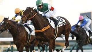 センテリュオが7歳で死亡　2020年オールカマー勝利など重賞戦線で活躍