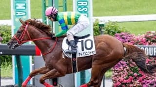 【次走】アドバンスファラオはダリア賞へ 福島の未勝利戦を2馬身半差の快勝