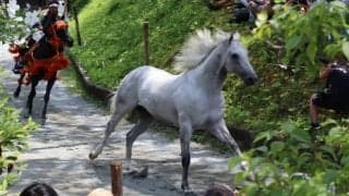 相馬野馬追、3年ぶりの通常開催/島田明宏