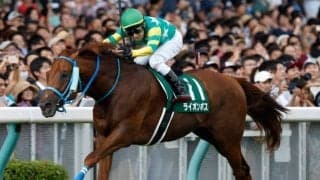 【アイビスSD枠順確定】マリアズハートは3枠6番、ライオンボスは1枠1番