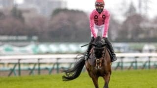 【新潟ジャンプS枠順確定】アサクサゲンキは1枠1番、ゼノヴァースは7枠12番