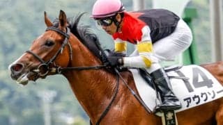 【次走】新馬戦5馬身差の快勝のアウクソーは放牧へ　安田師「使うなら小倉2歳S」