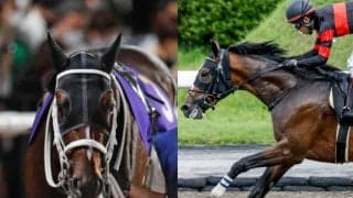 【レパードS想定】JDD4着のハピ、前走完勝ホウオウルーレット、砂転向後連勝のメンアットワークなど