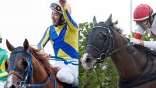 【エルムS想定】9連勝で戴冠狙うブラッティーキッド、連覇目指すスワーヴアラミス、9歳の古豪バティスティーニなど