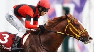 【次走】ジャックドールが函館競馬場に入厩、札幌記念へ向け調整進める　藤岡師「順調にきています」