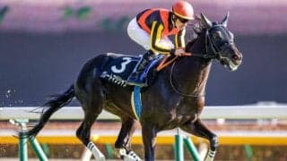 【今日の注目ポイント】香港のC.ホー騎手が初来日　関越Sでグレートマジシャン復帰など