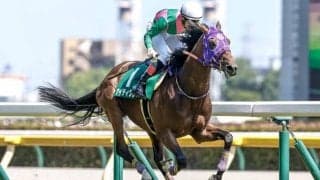 【新潟JS予想】連続障害をリズム良くクリアする障害センスと脚力が求められる一戦