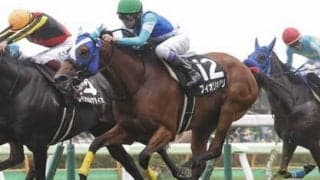 クイーンＳは上位人気馬に不安あり。レース傾向に見合った伏兵２頭が波乱を起こす
