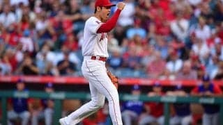 大谷翔平、米格闘家も「美しい」と魅了した投球　米同調「少年時代からの計画を見て」