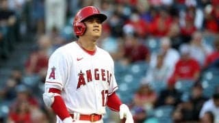 大谷翔平も叫んだ味方への際どいストライク判定　指揮官主張「明らかに流れ変わった」