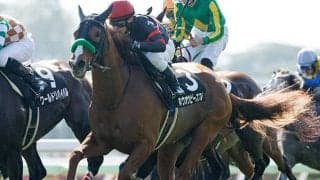 【クイーンS予想】マジックキャッスルに「4戦全敗」。 上位人気が予想されるも…