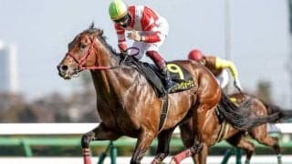 【アイビスSD前日オッズ】ヴェントヴォーチェが3.8倍で1番人気