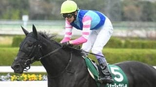 【クイーンS前日オッズ】ウォーターナビレラが2.2倍で1番人気