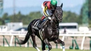 【JRA】グレートマジシャンが予後不良 1年2か月ぶりの復帰戦もゴール叶わず