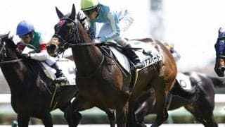 【アイビスサマーダッシュ予想】負けなし「千直巧者」は幻想？ 実力が問われる鬼門の枠