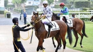 【札幌1R】武豊「乗り味が良い」アンテロースが初勝利