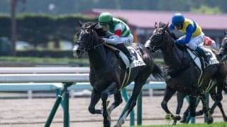 【札幌3R】エフフォーリア半弟 ヴァンガーズハートが初勝利