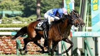 【関越S】イクスプロージョンが混戦に断！グレートマジシャンは予後不良に