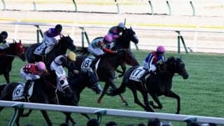 【新潟12R】ホー騎手 JRA初勝利！カゼノタニノアヤカで抜け出す