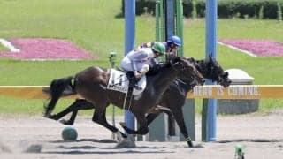 【新馬/新潟6R】8番人気 ニシキギミッチーがデビューV