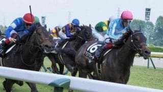 【今日の注目ポイント】新潟でアイビスSD、札幌でクイーンS