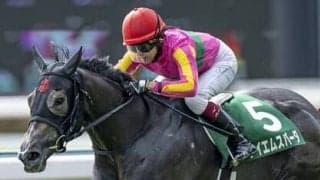 アイビスSDの馬券のヒントになるのは、２人の女性騎手か、朱鷺か、それとも……