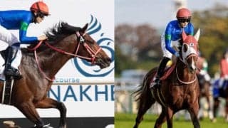 前走英G1参戦のバスラットレオン＆キングエルメスが仏・ドーヴィル競馬場に到着