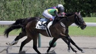 【新潟8R】今村聖奈が連日のVで今期23勝目