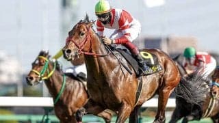 【アイビスSD・馬体重】ヴェントヴォーチェは516kg(-2)、シンシティは482kg(+6)