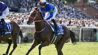 ジャックルマロワ賞他 バスラットレオン・キングエルメスがドーヴィル競馬場に到着