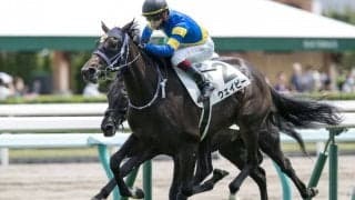 【新馬/札幌5R】サトノアラジン産駒 ウェイビーがデビューV