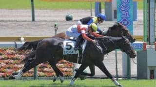 【新馬/新潟5R】セレクト億超え対決はダノントルネードに軍配