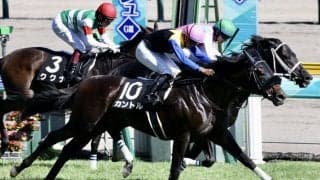 【佐渡S】長期休養明け 良血馬カントルがオープン入り