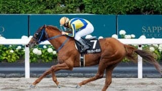 ダート重賞のエルムSとレパードS/今週の競馬界の見どころ