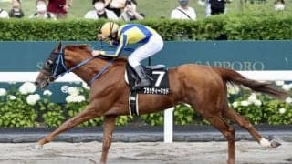 【エルムS登録馬】ブラッティーキッドなど15頭