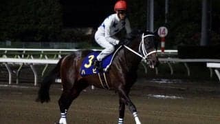 【レパードS登録馬】ハピなど21頭