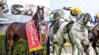 【札幌日経OP】3億円馬テンカハルやクロフネの甥ボスジラなどが登録　古豪ペルーサの復活などで知られる長距離戦