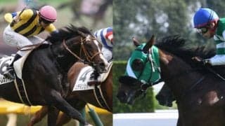 【先週のJRA抹消馬】4月に引退が報じられたオーソクレース、2020年フィリーズレビュー2着馬ヤマカツマーメイド、青葉賞馬の全弟セントレオナードなど