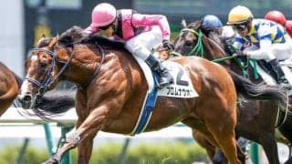 【次走】フロムナウオンは夏場休養　10月のサウジアラビアロイヤルカップで始動予定